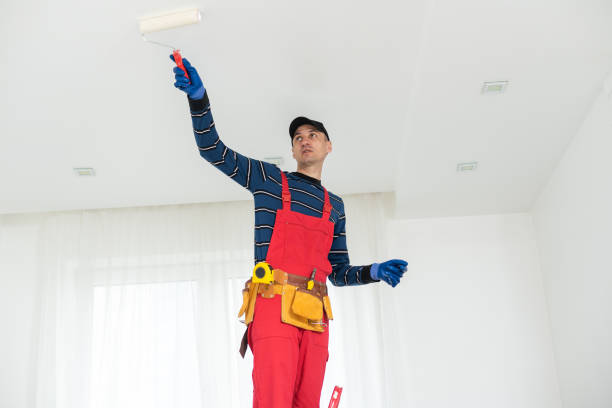 Best Ceiling Drywall Installation  in Costa Mesa, CA